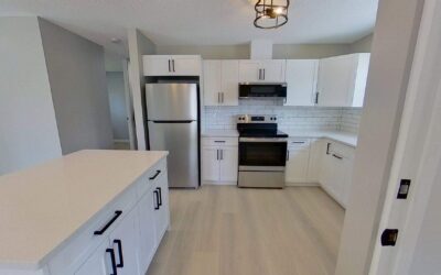 Full Home Interior Renovation